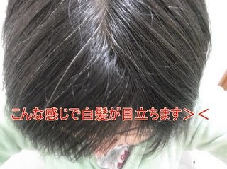利尻blog8.jpg